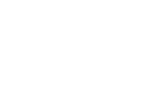 Precise Systems logo