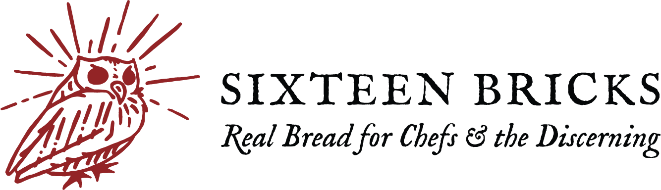 Sixteen Bricks logo