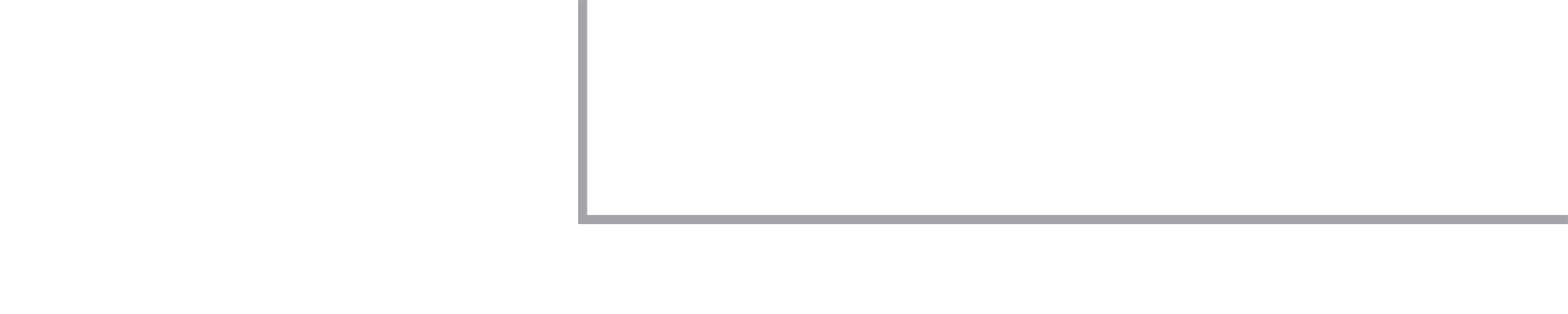 EVS Metal logo