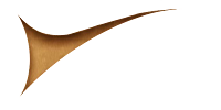 Salmen Tech Co., Inc logo
