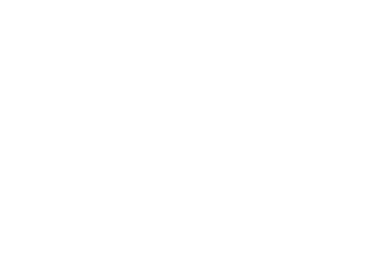 Ampro logo