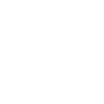 Wallace Industries, Inc logo