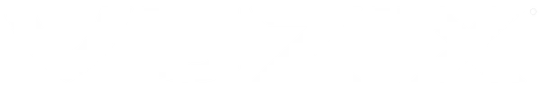 Vuzix Corporation logo