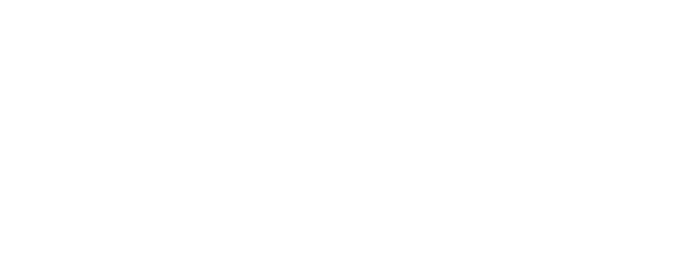 Vennskap GmbH & Co. KG (SKOTTI Deutschland) logo