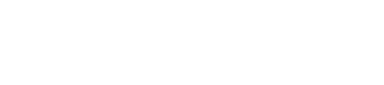 Wire Saw Solutions Group logo