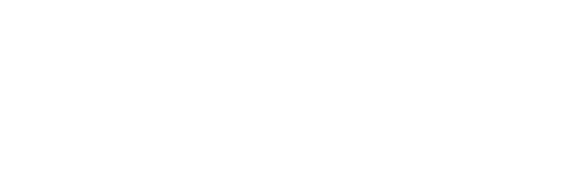 Lascar Electronics logo
