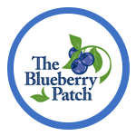 The Blueberry Patch logo