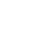 Vista Packaging and Logistics logo