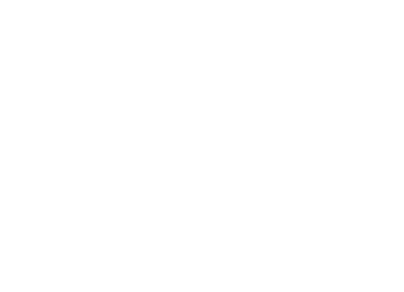 Savor Street Foods Inc logo