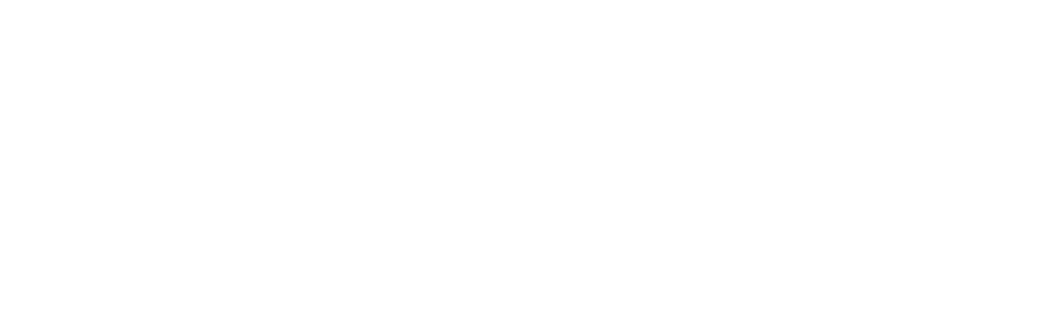 Buffalo Distilling Company logo