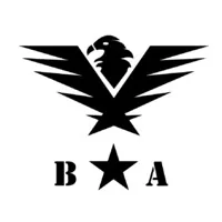 Banas Industries, LLC logo