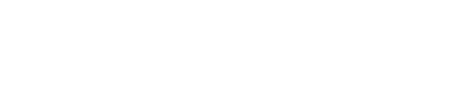 Intelligraphix Systems logo