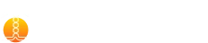 Chili B logo