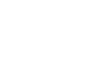 Wittur logo