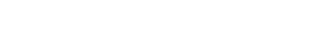WNV Systems Ltd logo