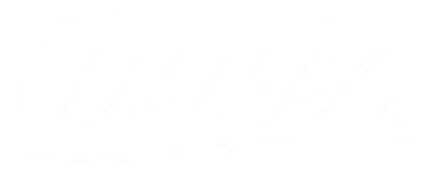 Annie International, Inc logo