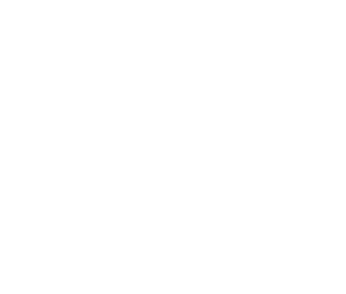 Bertazzoni SpA logo