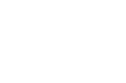 VIGO Industries logo