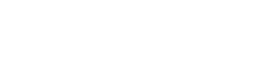 Secondz logo