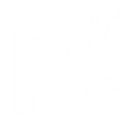 FLX Solutions logo