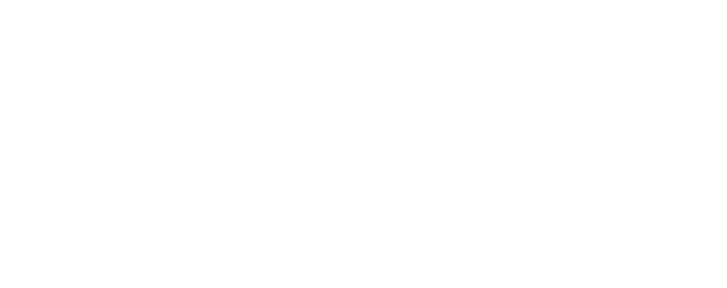 Viking Packaging logo