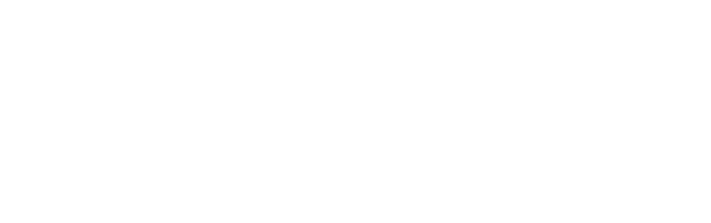 ANEST IWATA Americas, INC logo