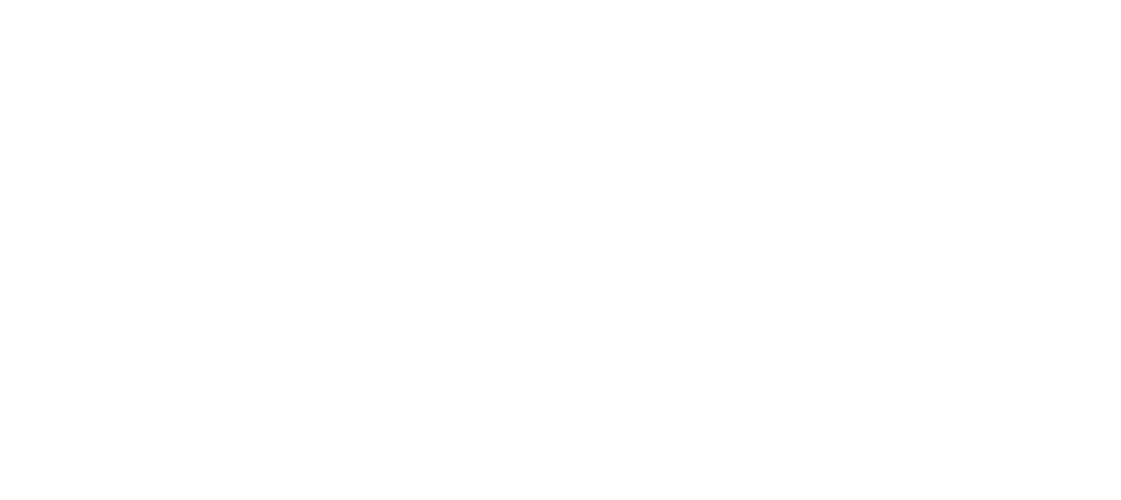 BlackSea Technologies logo