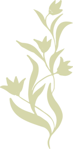 Shirley Jane logo