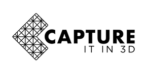Capture It In 3D logo