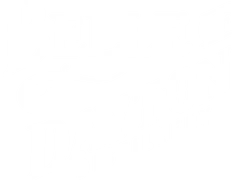 Belle of Dayton Distillery logo