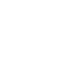 VELP Scientifica Srl logo
