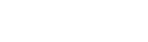 Element Group USA logo