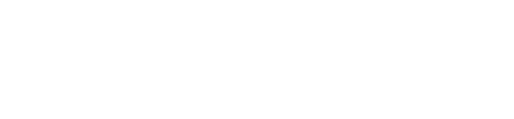 Nelson Controls LLC logo