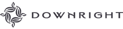 Downright logo