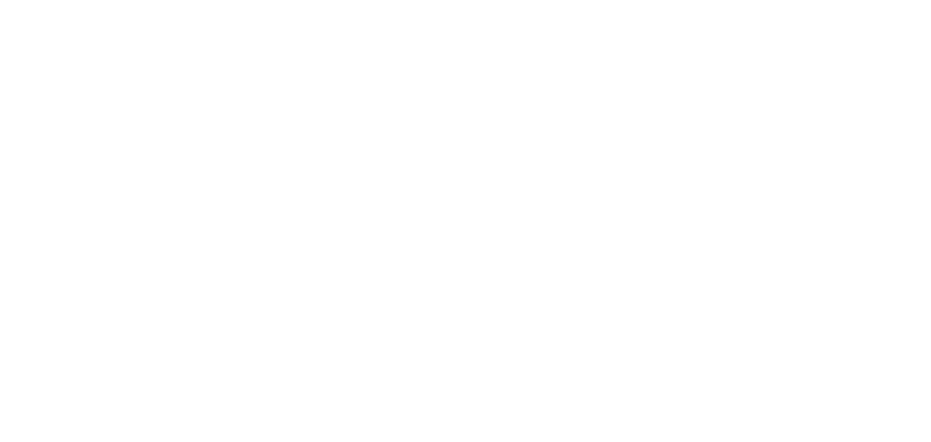 Emmi Desserts USA logo