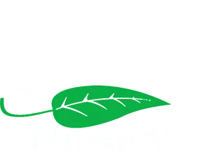 Decorative Gardens Nursery logo