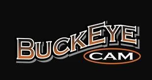 BuckEye Cam logo
