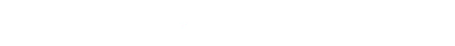 Flexjet Technical Services logo