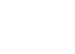 Ralston Instruments logo