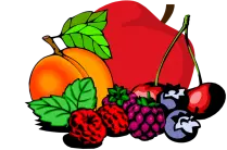 SatisPie logo