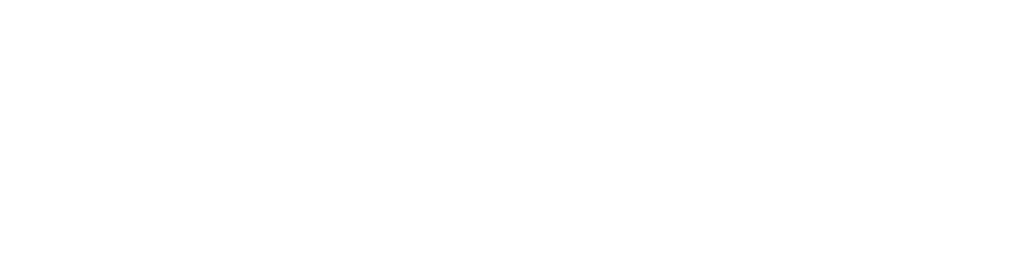 Phoenix Mecano Inc logo