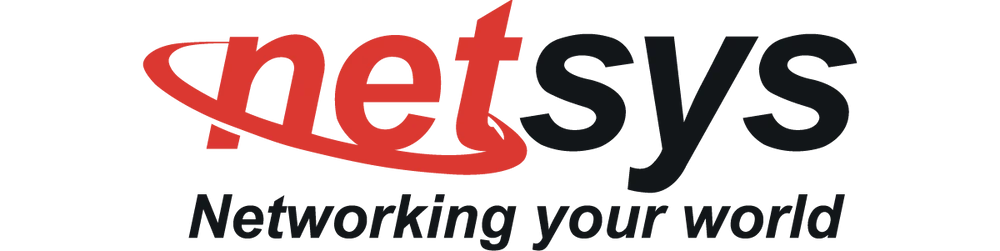 Netsys-America, LLC logo