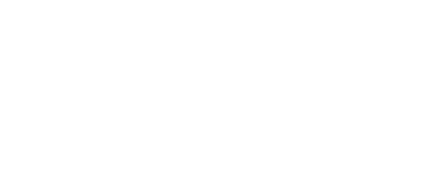 Bulk Handling Systems logo
