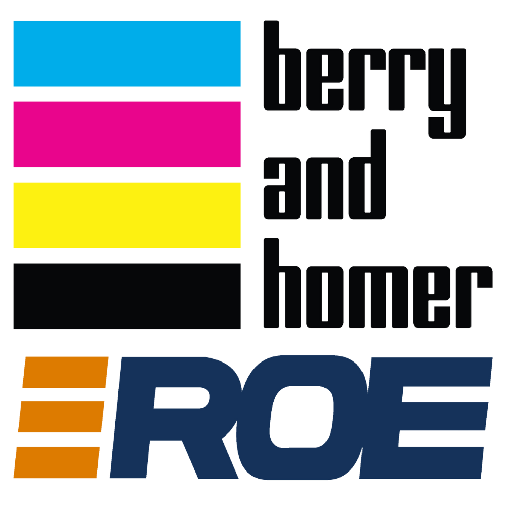 Roe Solutions Group logo