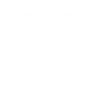 DeepSnow logo