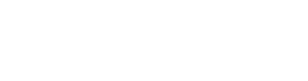 Wild West Systems logo