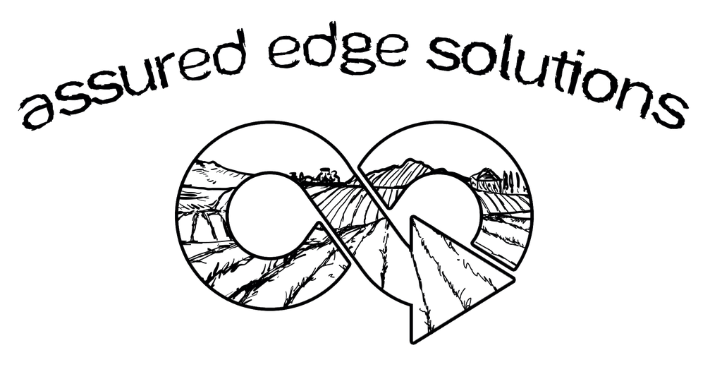 Assured Edge Solutions logo