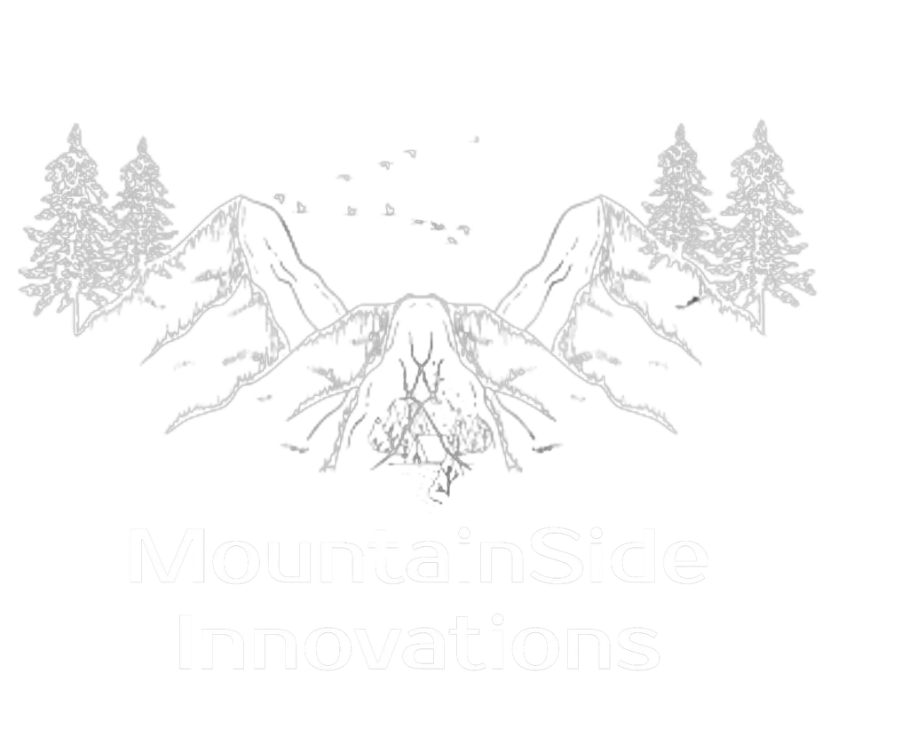 MountainSide Innovations logo