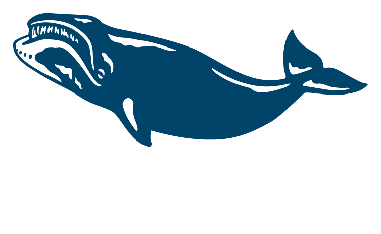 Bowhead logo