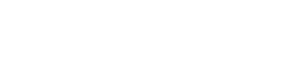 American Essentials LLC logo